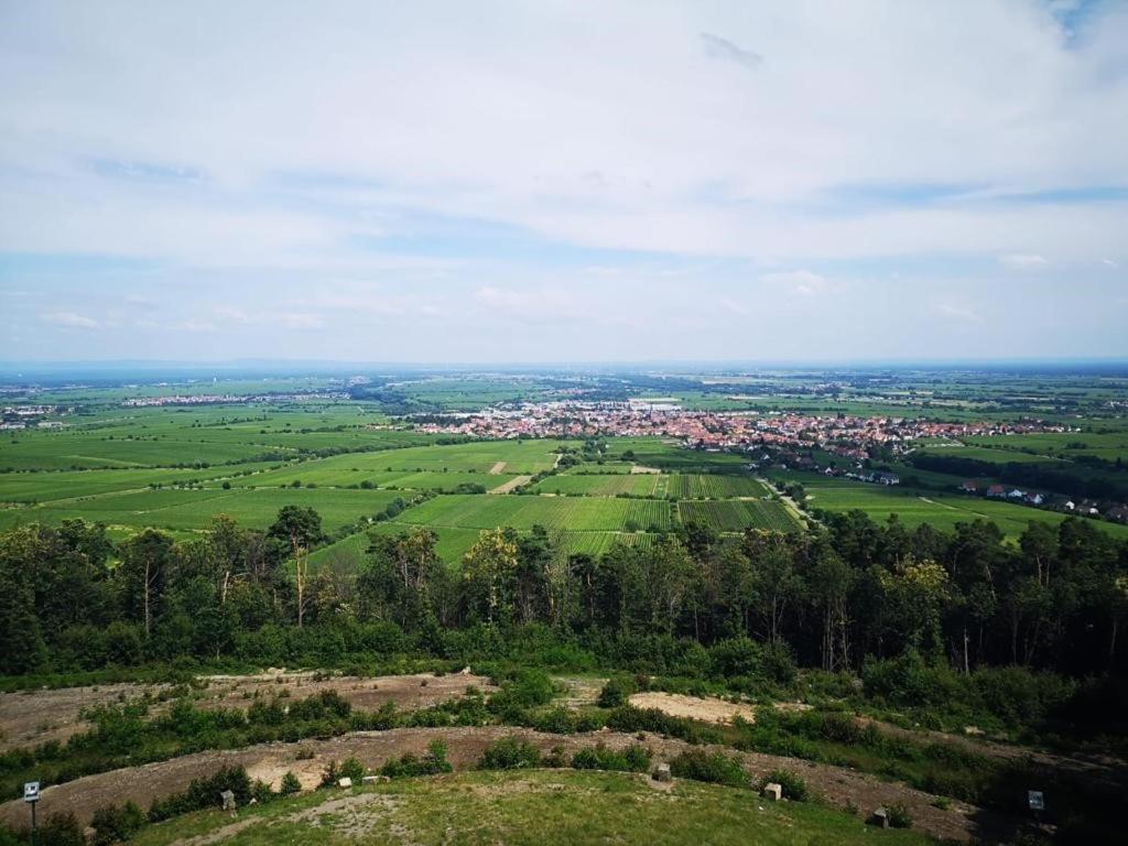 Wohnen Im Herzen Der Pfalz Neustadt an der Weinstraße Zewnętrze zdjęcie